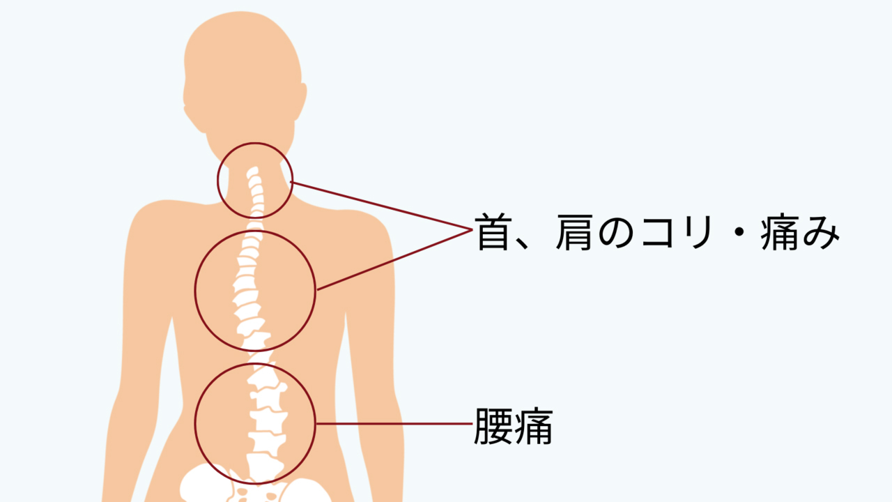 矯正治療の流れ